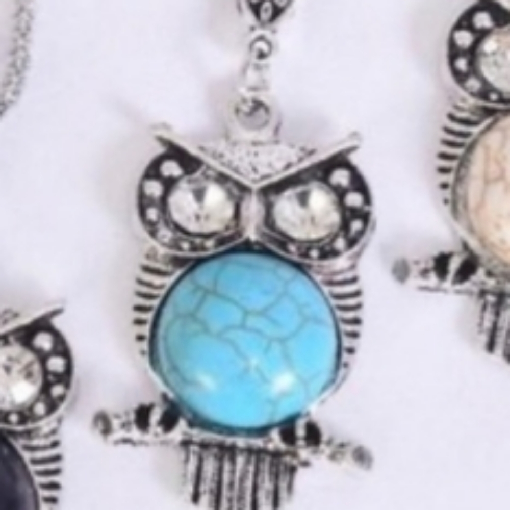 NEW Owl Necklace BLUE Turquoise color semiprecious stone Silver plate 18"-22"in